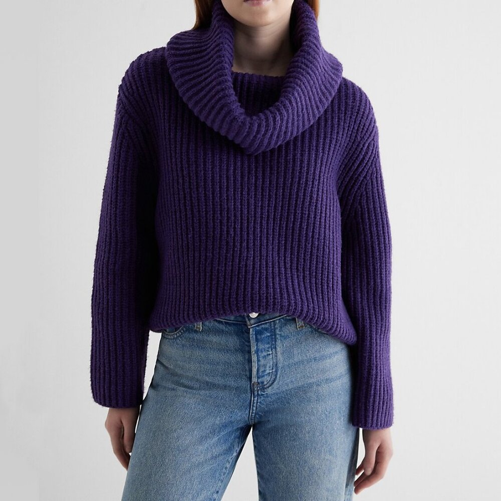Express Ribbed Cowl Neck Chunky Sweater NWT